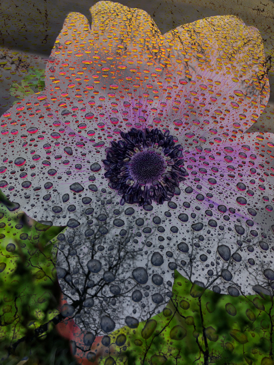 Hallucinations: Purple Flower with Rain by Bonnie Levinson 
