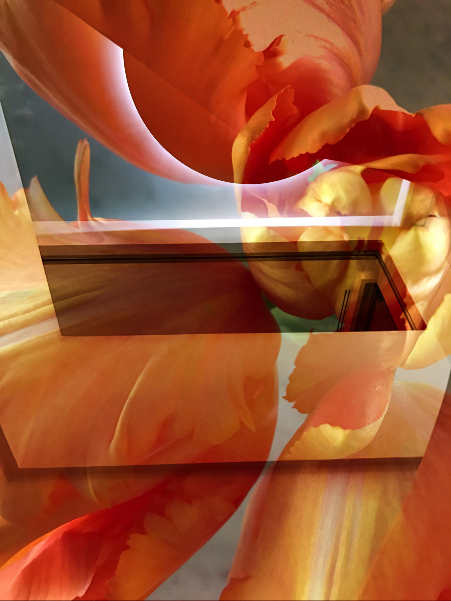 Hallucinations-orange tulips folded (framed) by Bonnie Levinson 