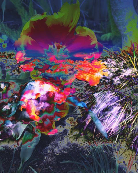 Hallucinations: LSD trip 38 x30 by Bonnie Levinson 