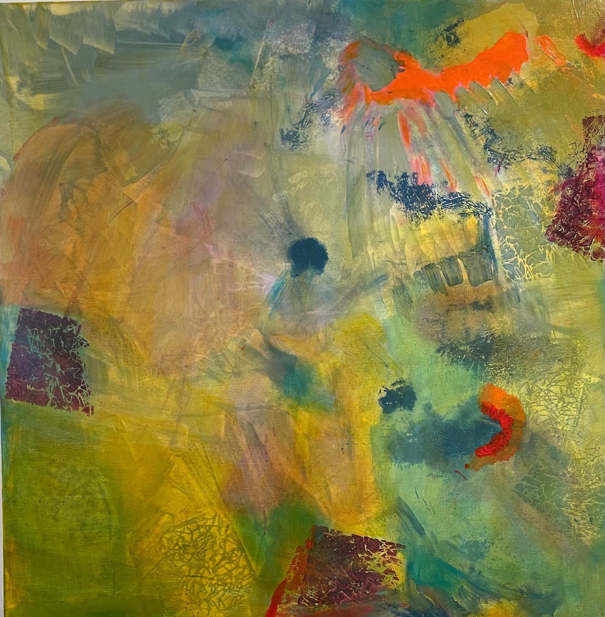 Rays of Light by Bonnie Levinson 