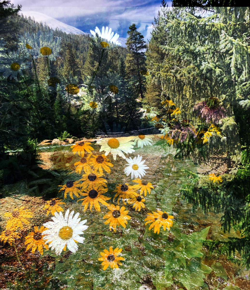 Rushing Waters and Wildflowers in Aspen 2 by Bonnie Levinson 