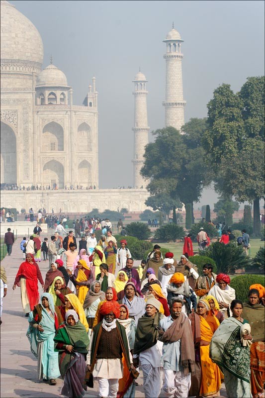 Half taj by Bonnie Levinson 