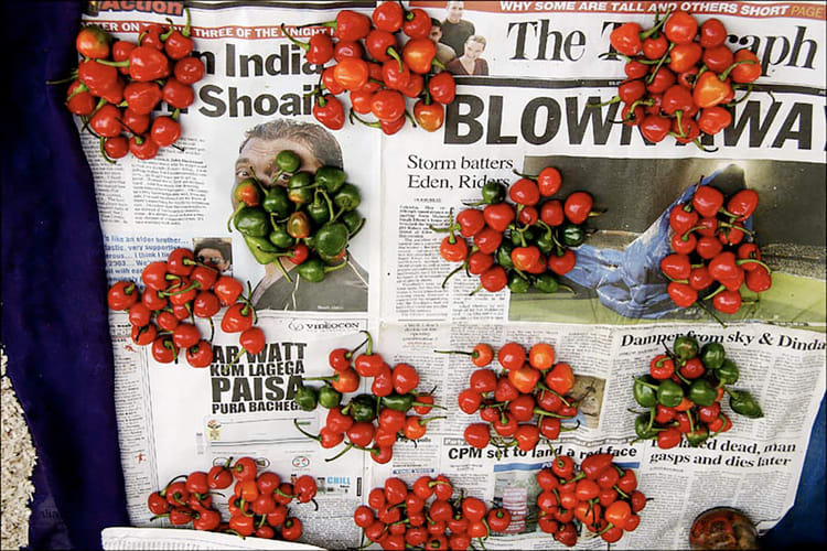 News Peppers, Image 1.