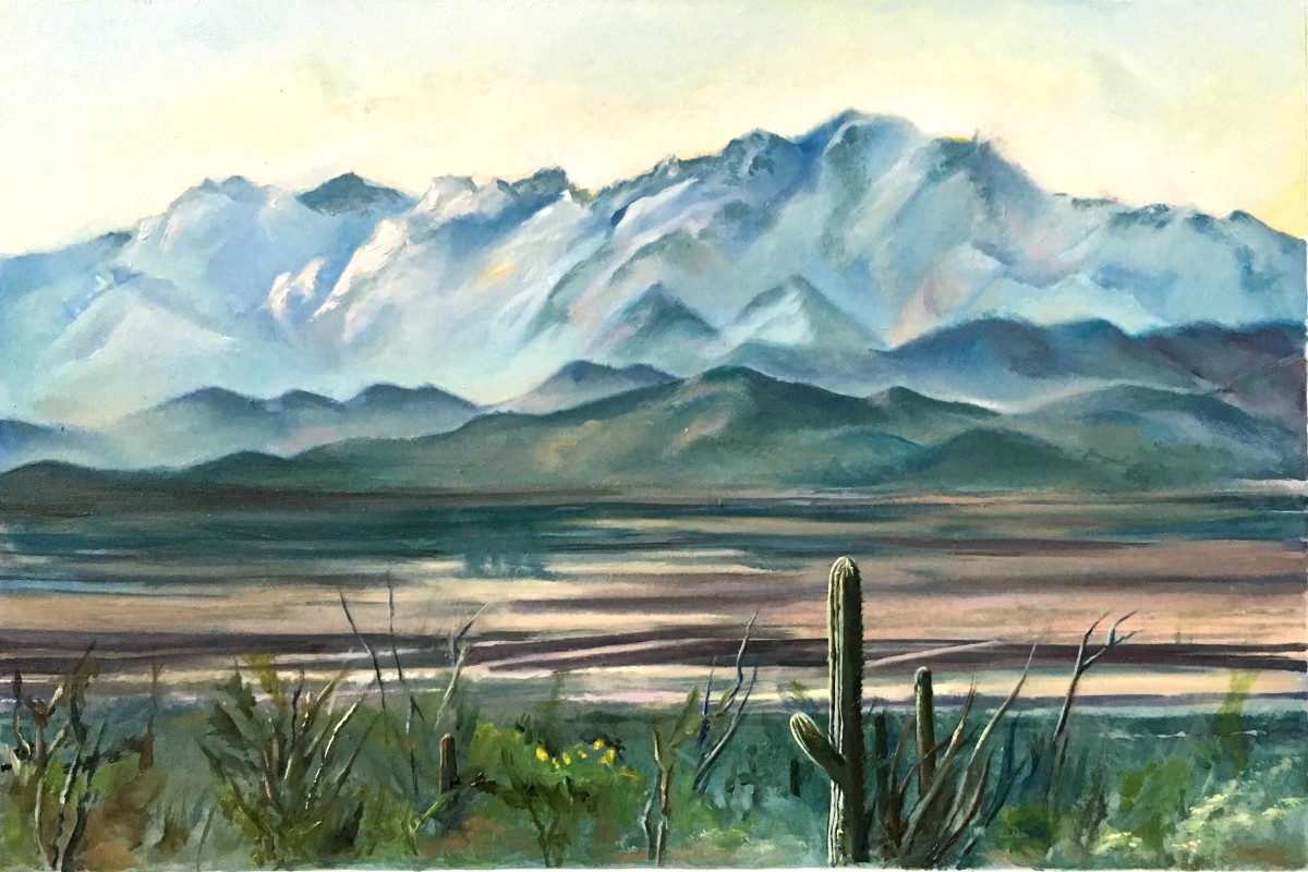 Tucson Desert by michele norman 