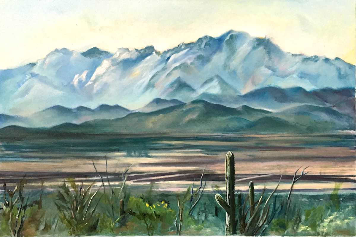 Tucson Desert by michele norman, Image 1.