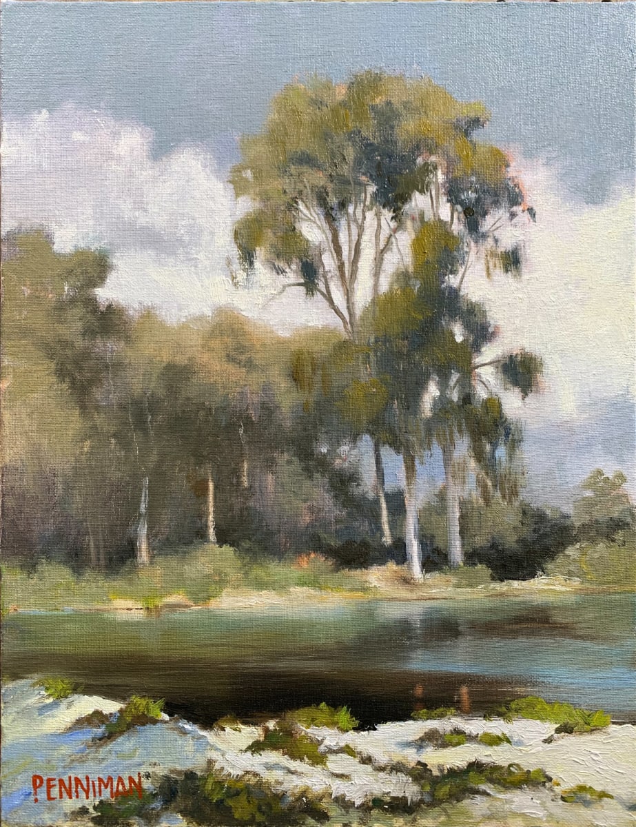 Eucalyptus Reflections by Ed Penniman 