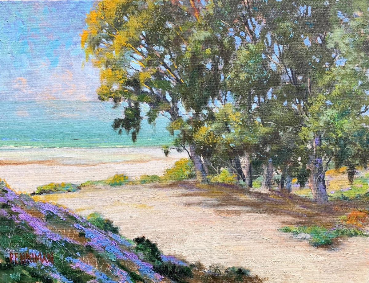Hidden Beach, Aptos 