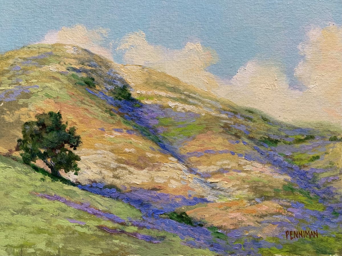 Los Padres Chalk Hills by Ed Penniman 