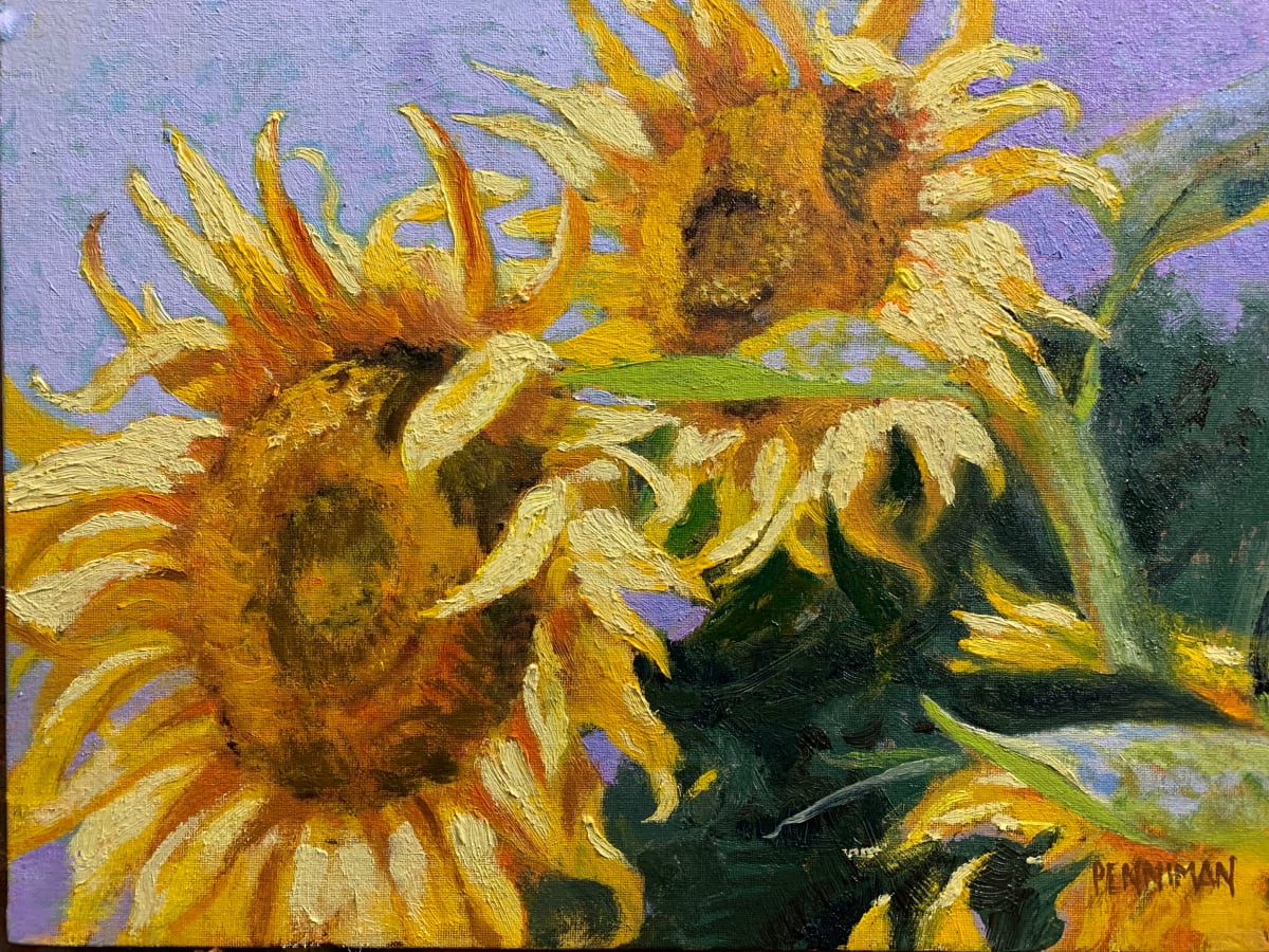 Sunflower Scraggle 