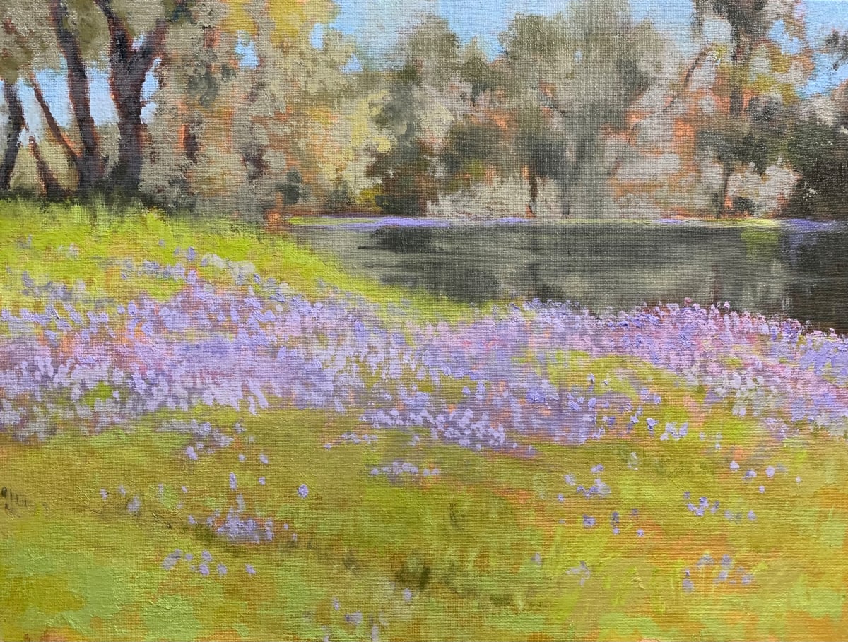 Lupin Lake by Ed Penniman 