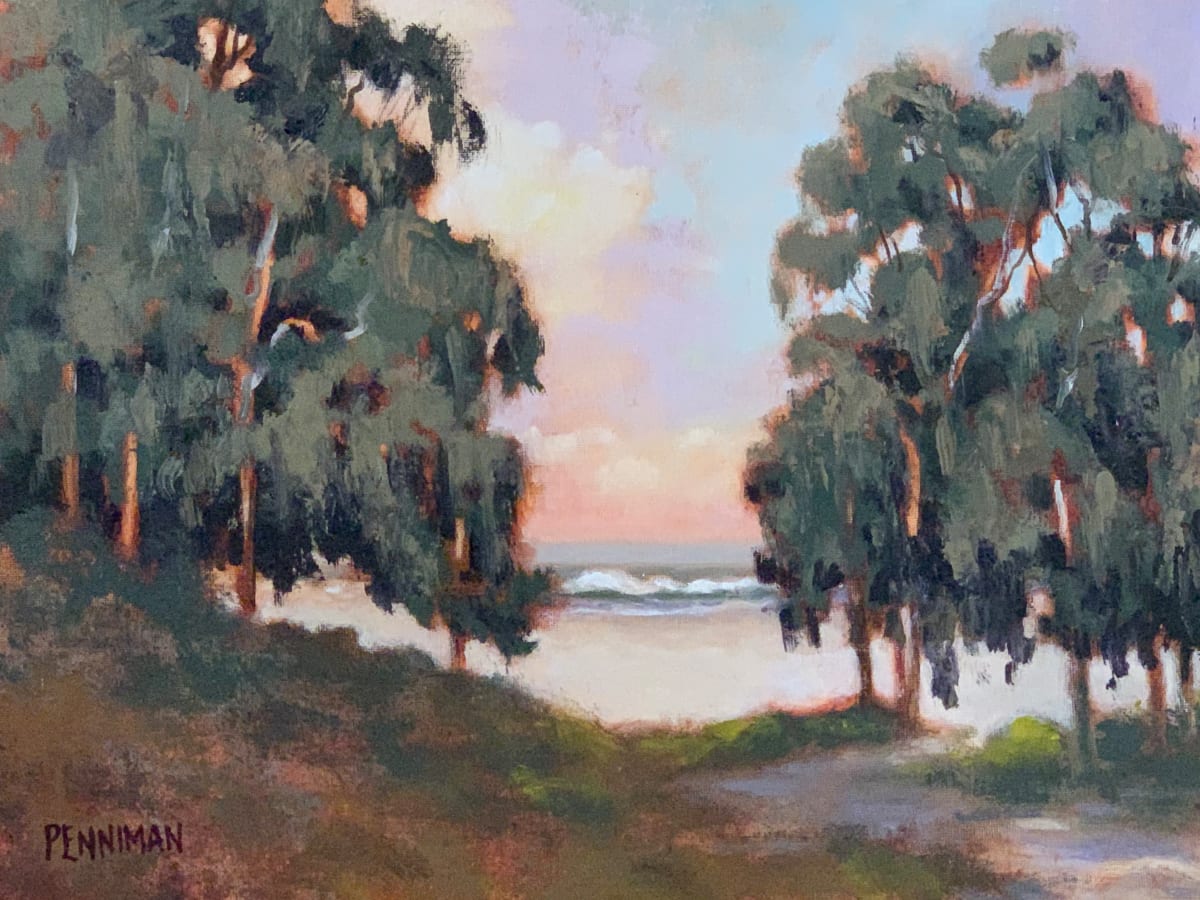 Natural Bridges Beach I by Ed Penniman 