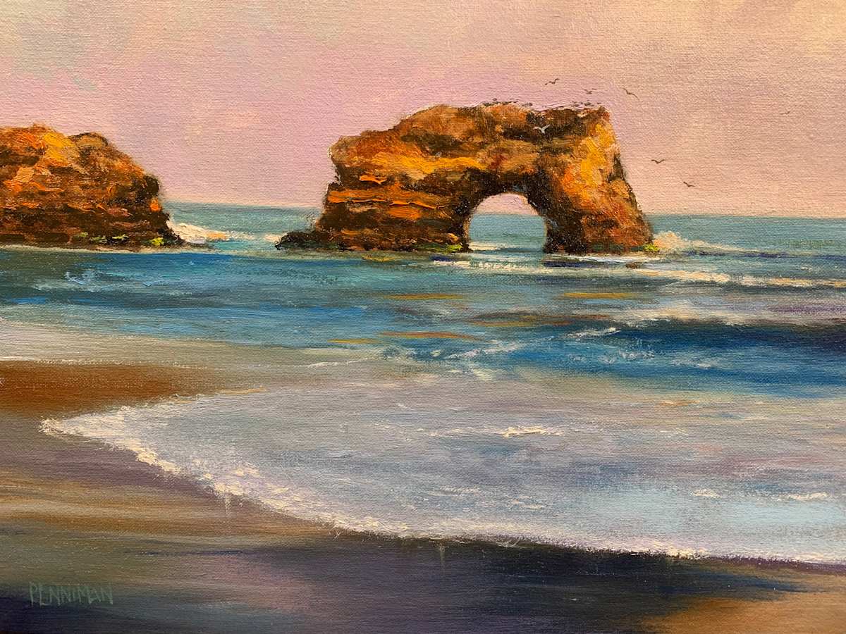 Natural Bridges, Gulls by Ed Penniman, Image 1.
