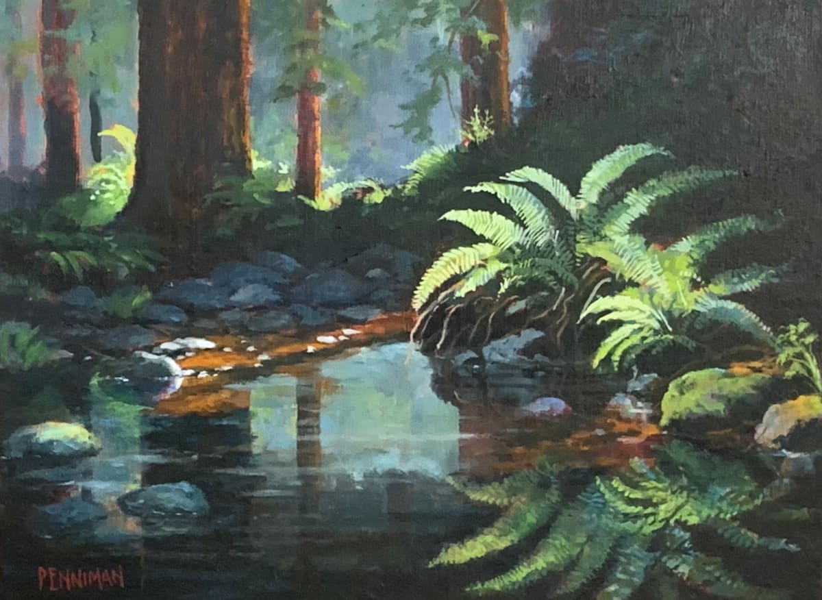 Woodwardia Fern Sanctuary by Ed Penniman 