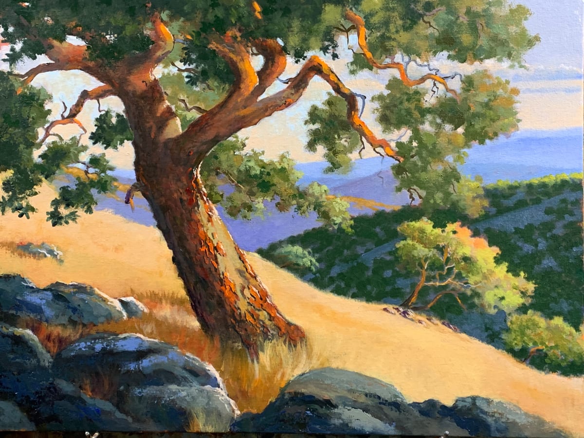 Pacific Madrone by Ed Penniman 