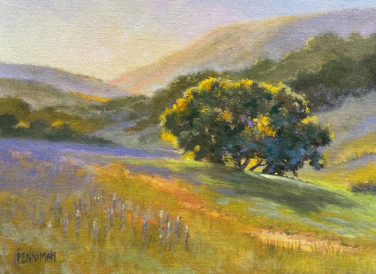 Saratoga Hills by Ed Penniman  Image: Saratoga Hills
