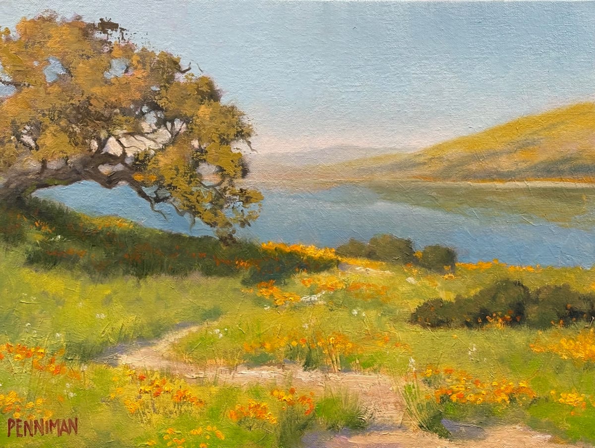 Fields of Gold by Ed Penniman 