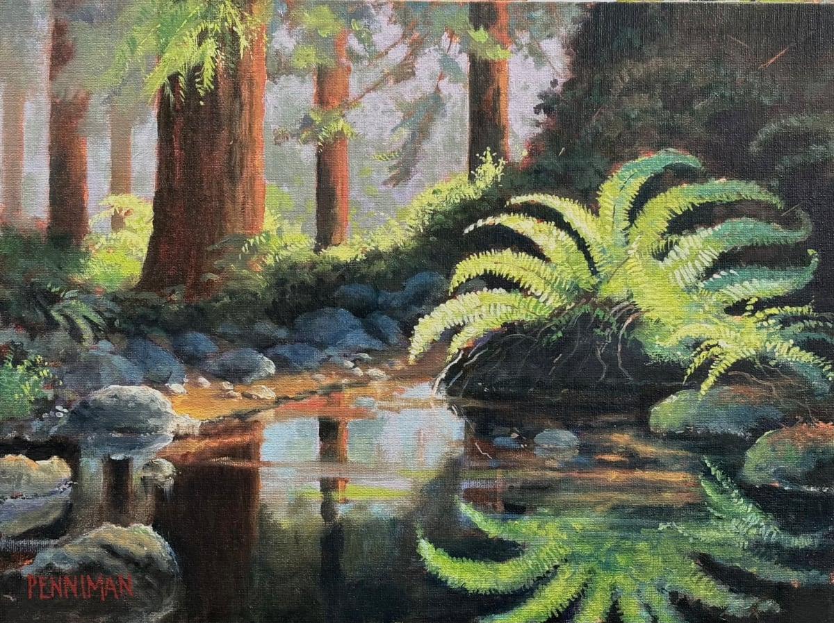 Woodwardia Sanctuary II by Ed Penniman 