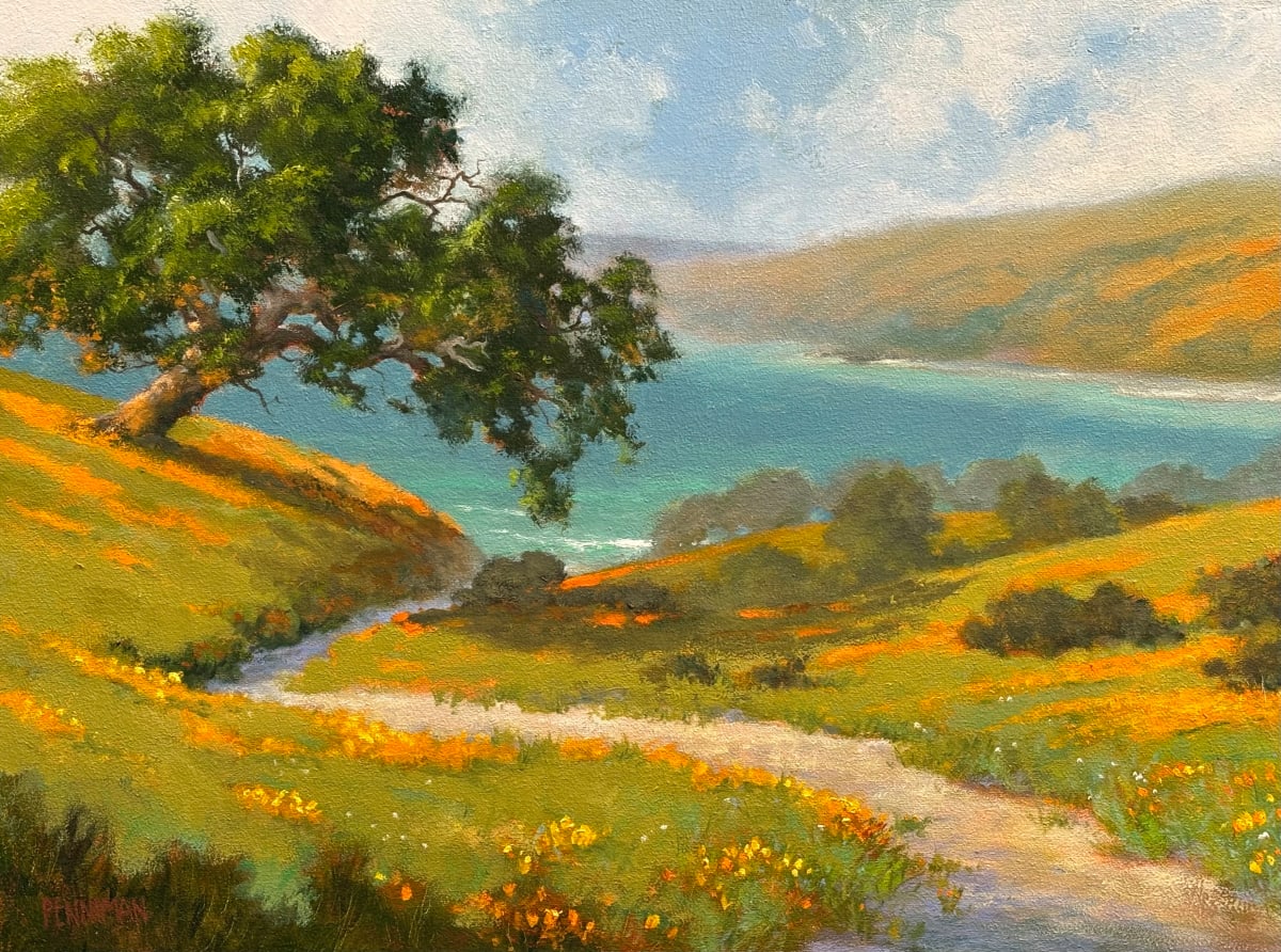 Worn Path by Ed Penniman  Image: A well-worn path winds through descending California poppy fields to the sea—another perfect day.