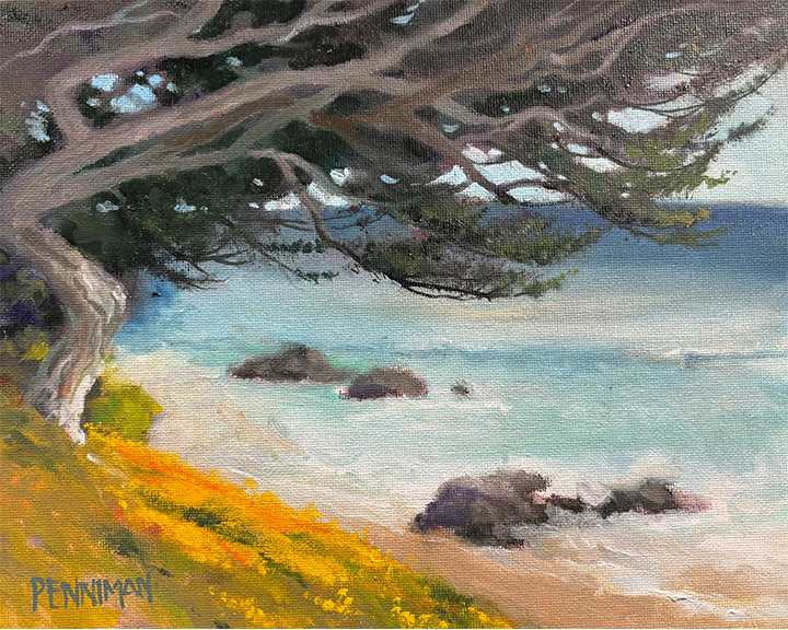 Monterey Coastal Cypress I by Ed Penniman 