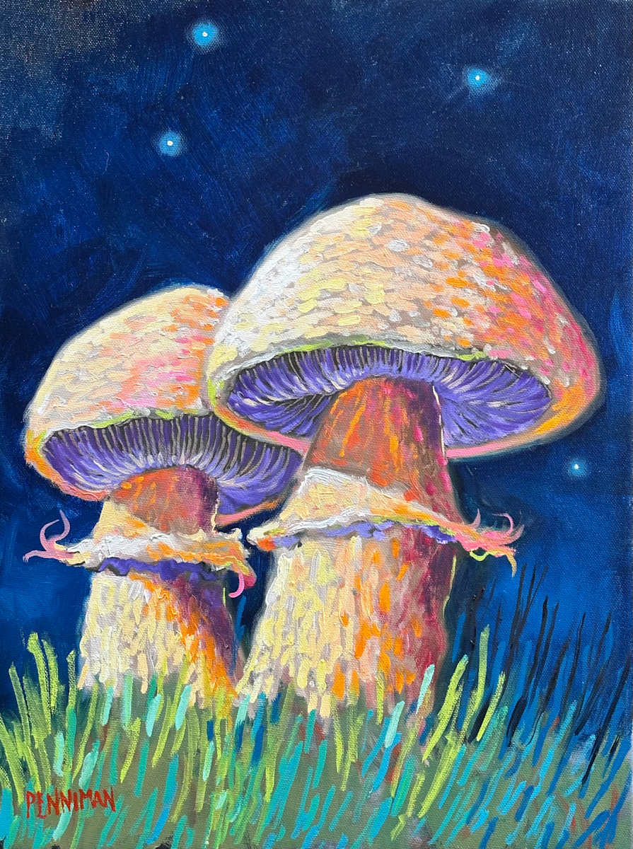 Mushroom Moonlight III by Ed Penniman 