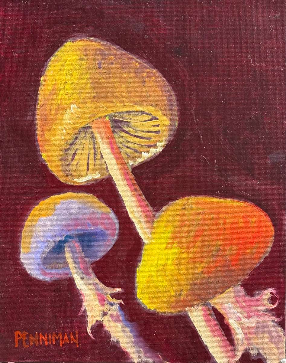 Maroon Mushrooms by Ed Penniman 