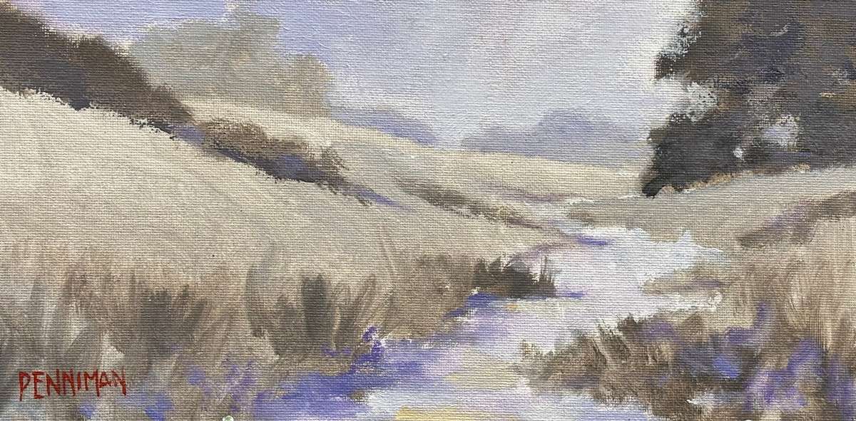 Country Road Los Padres by Ed Penniman 