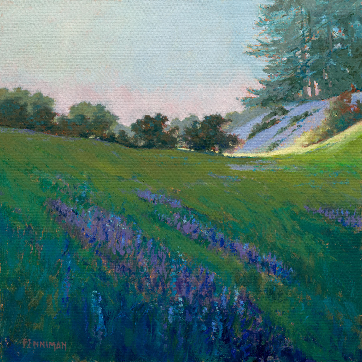 Lupin White Road II by Ed Penniman 