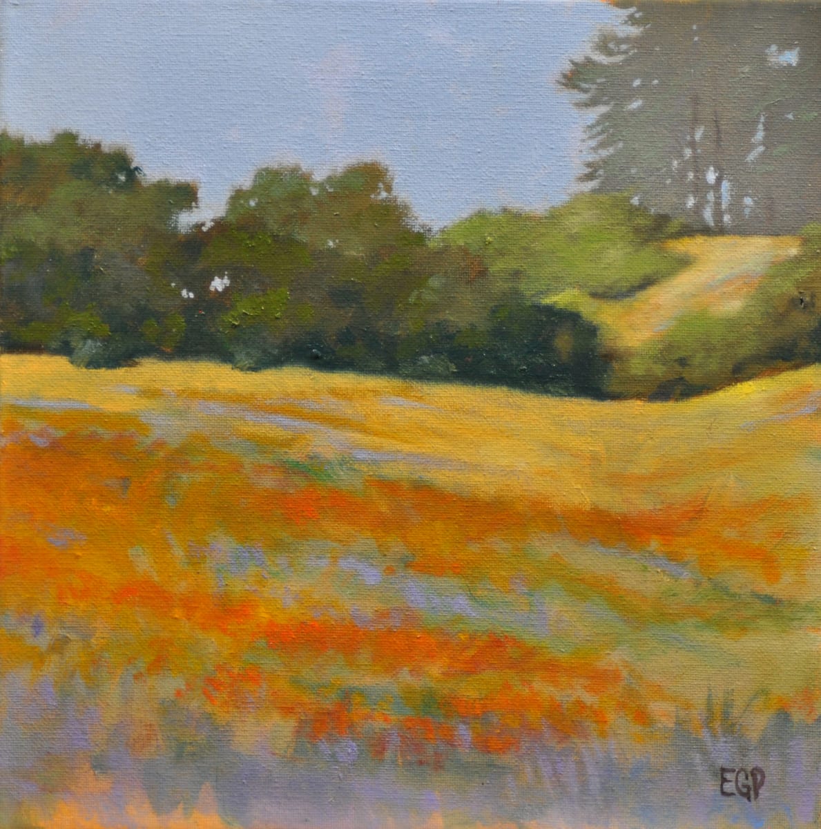 Patchwork Field by Ed Penniman, Image 1.