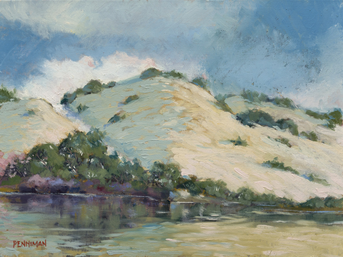 Harkins Slough by Ed Penniman 