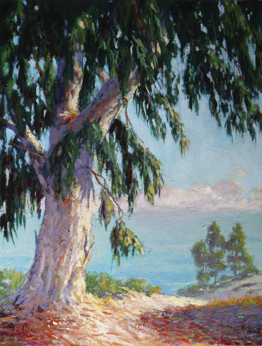 Eucalyptus View by Ed Penniman 