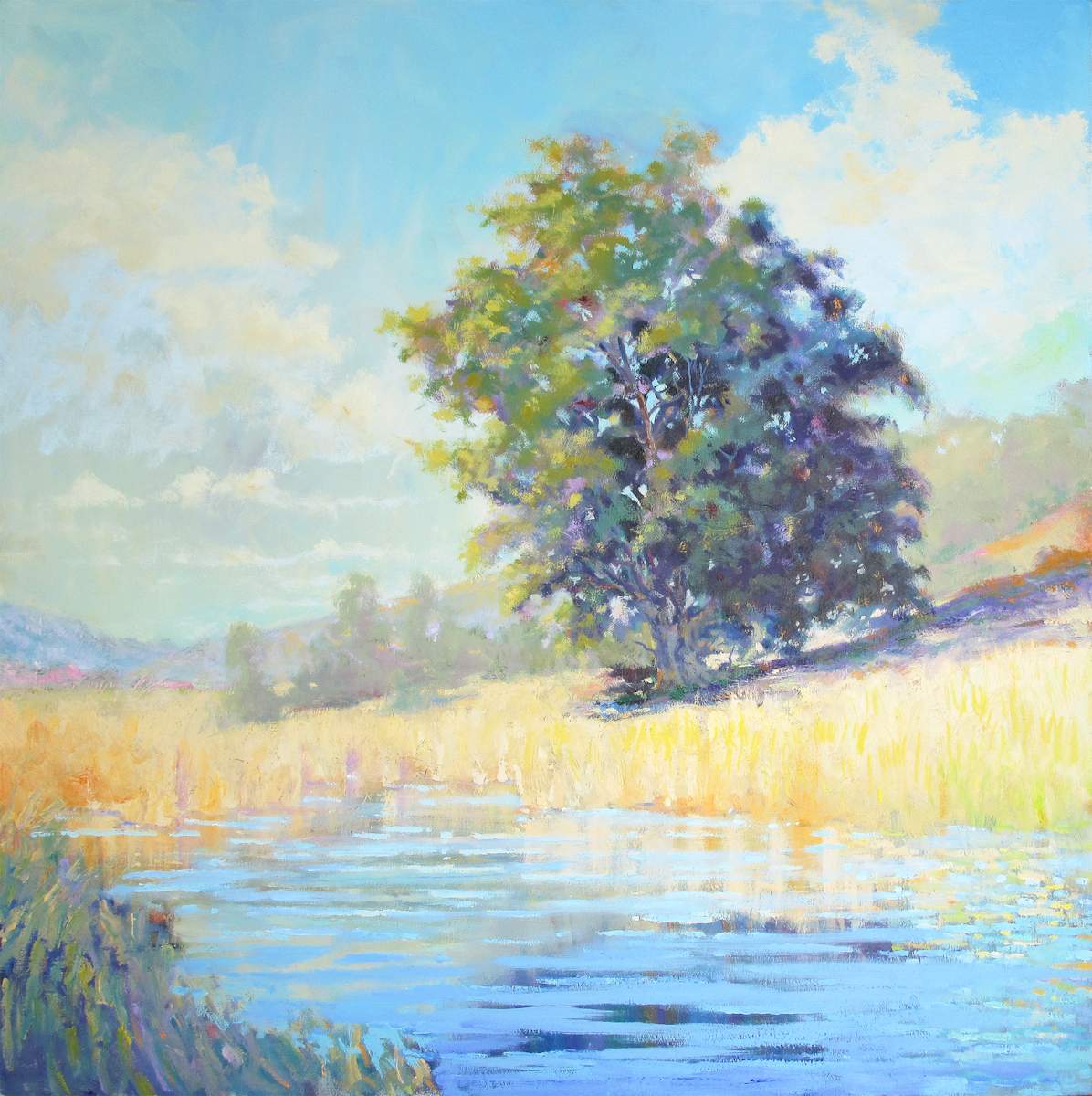 Tree Reflection by Ed Penniman, Image 1.