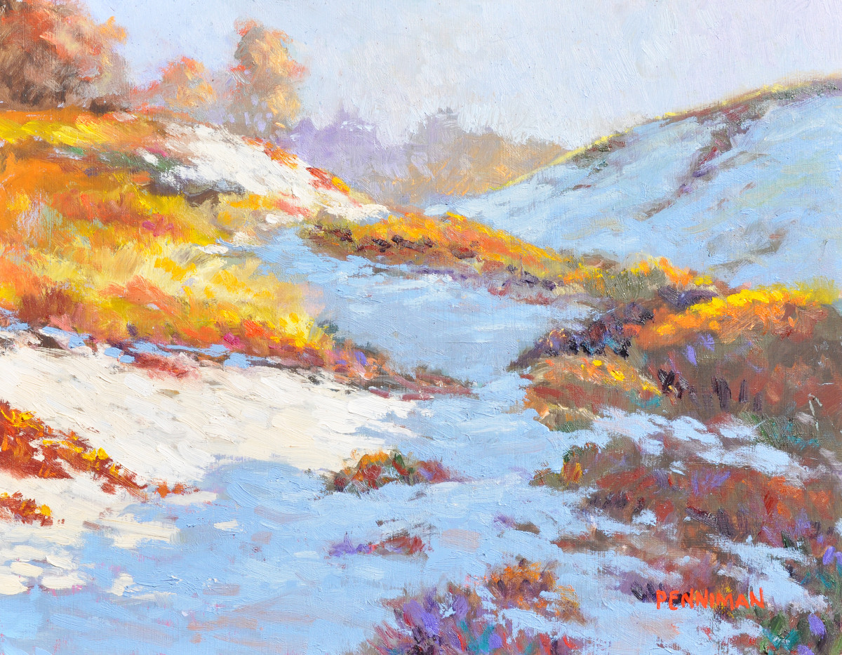 Sand City Dunes by Ed Penniman 