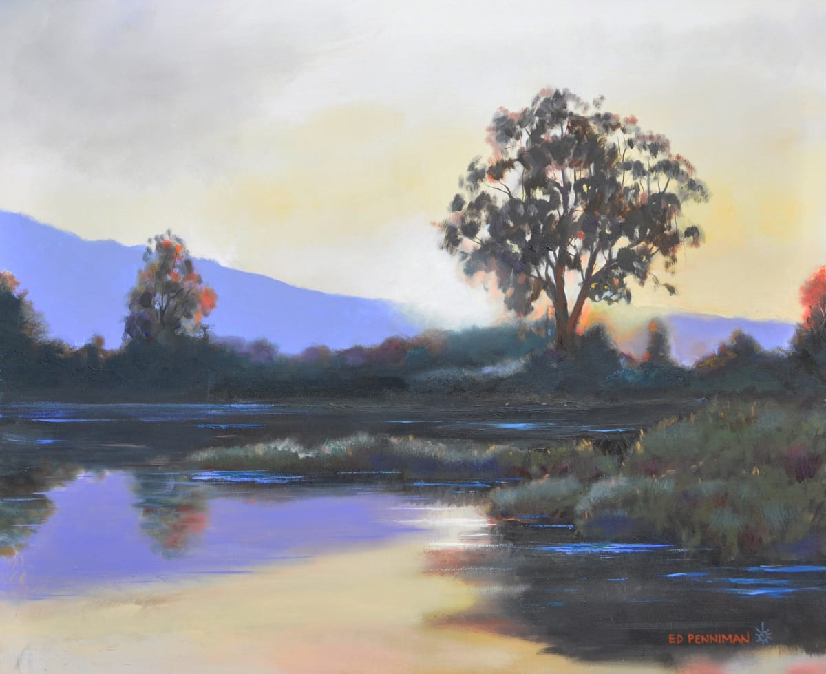 Elkhorn Slough Tree by Ed Penniman, Image 1.