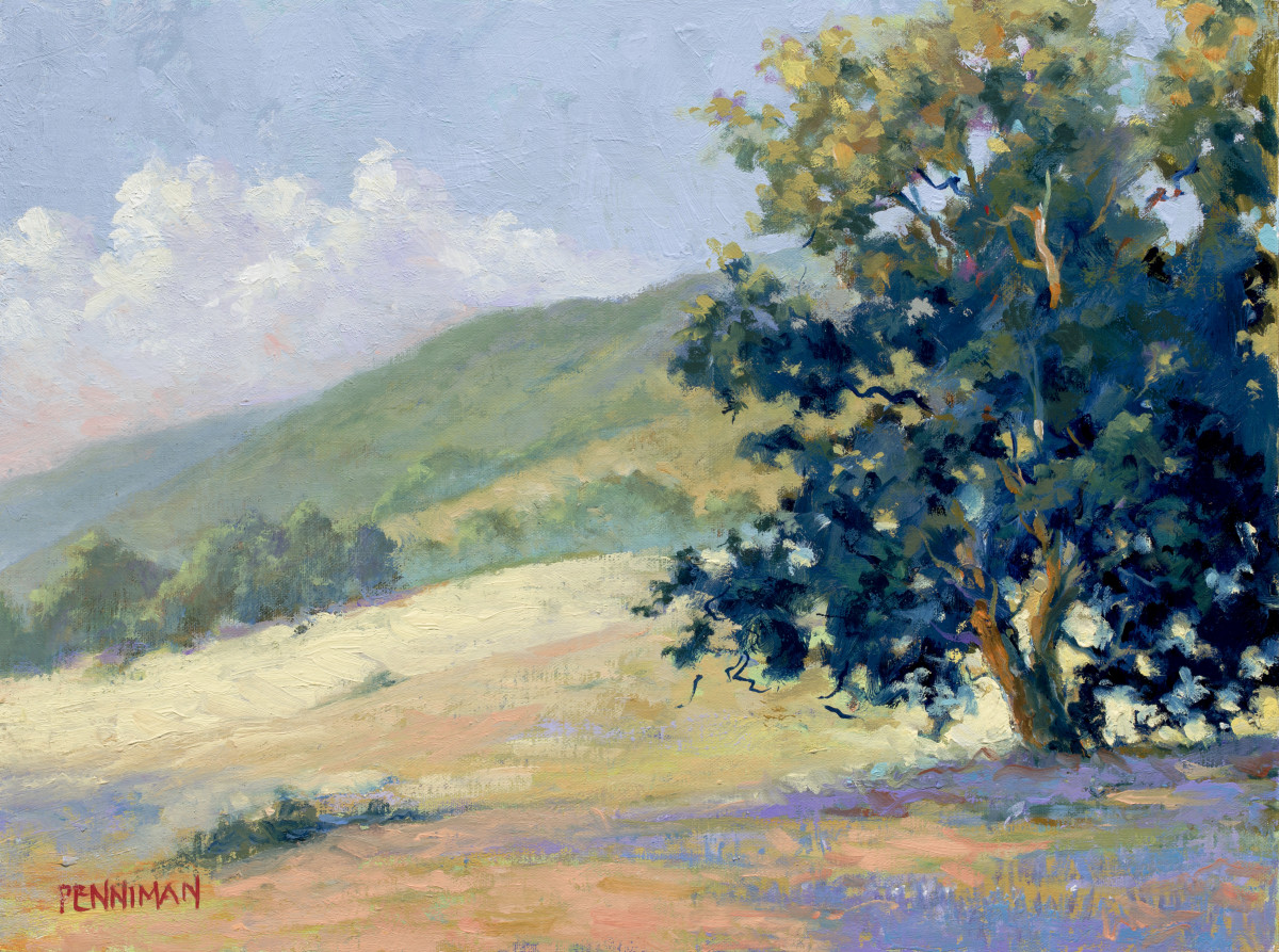 Hunter Liggett Oak by Ed Penniman 