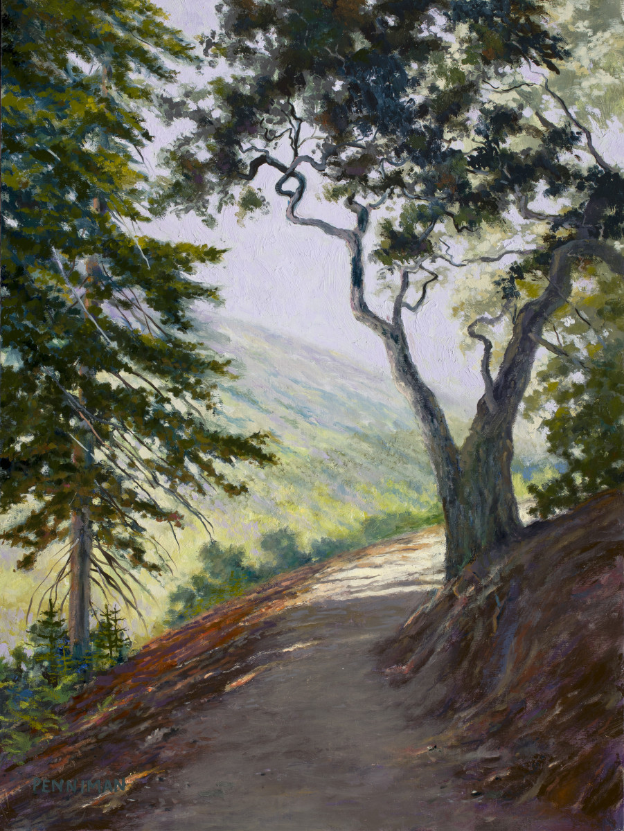 Post Ranch Trail by Ed Penniman 