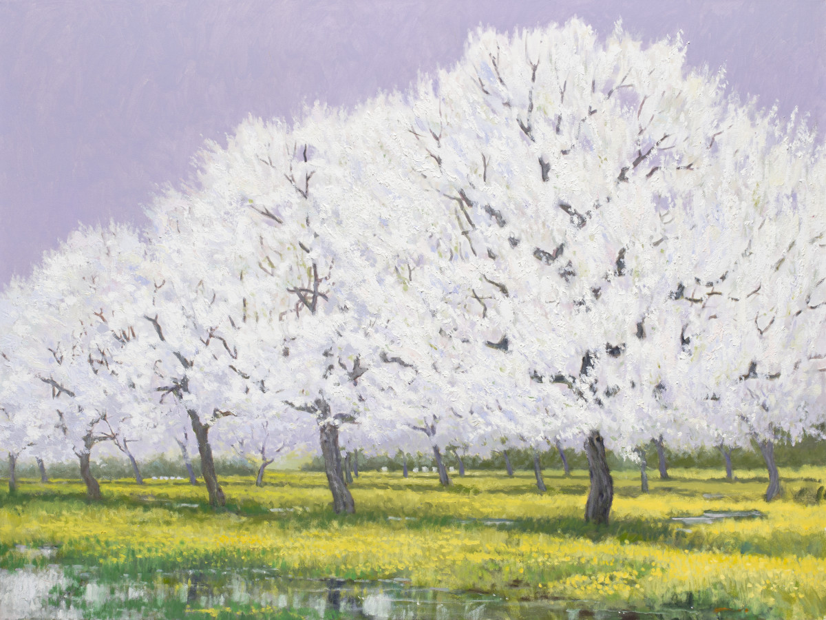 Apple Blossom Puddles by Ed Penniman 