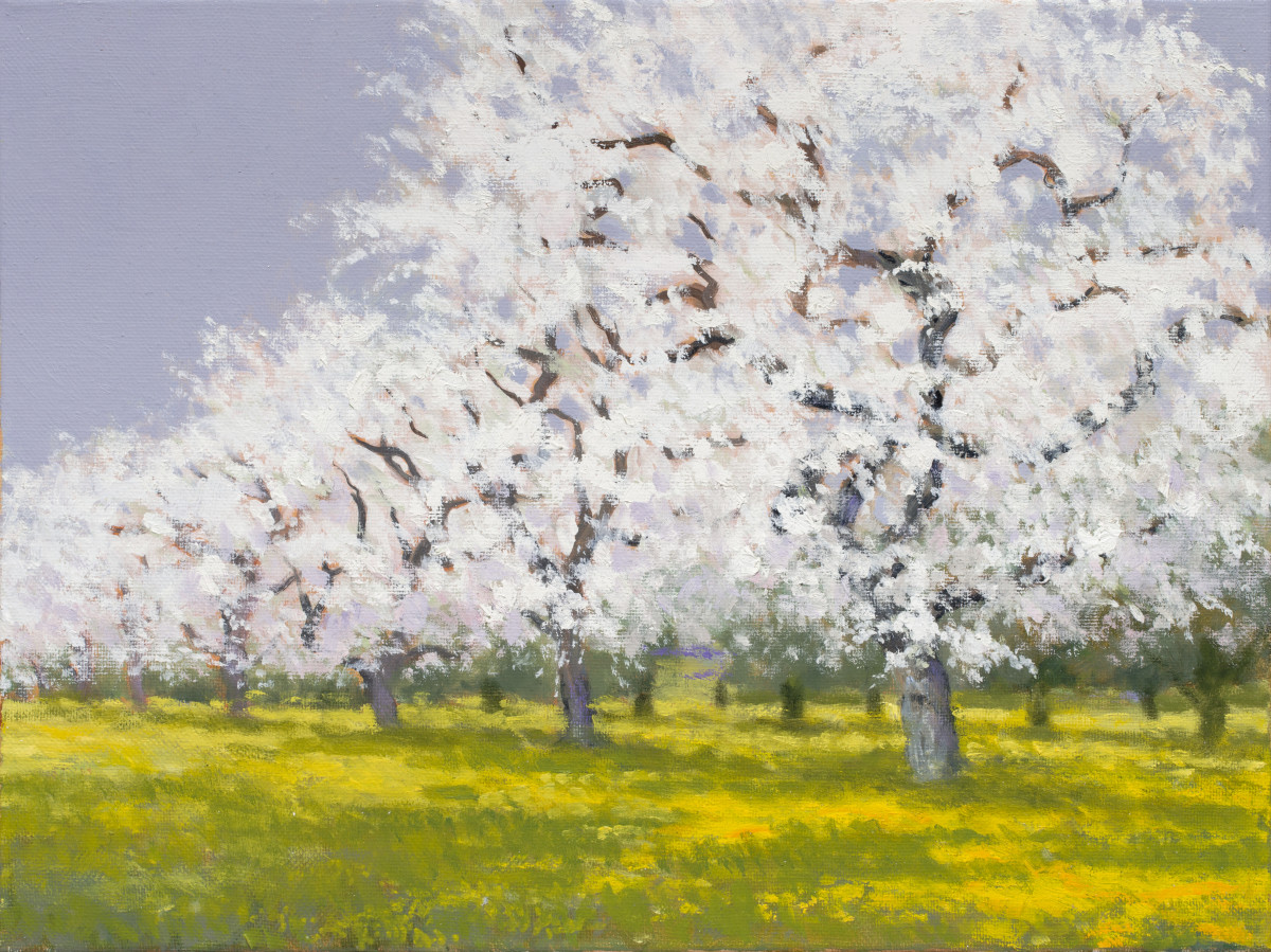 Watsonville Apple Blossoms by Ed Penniman 