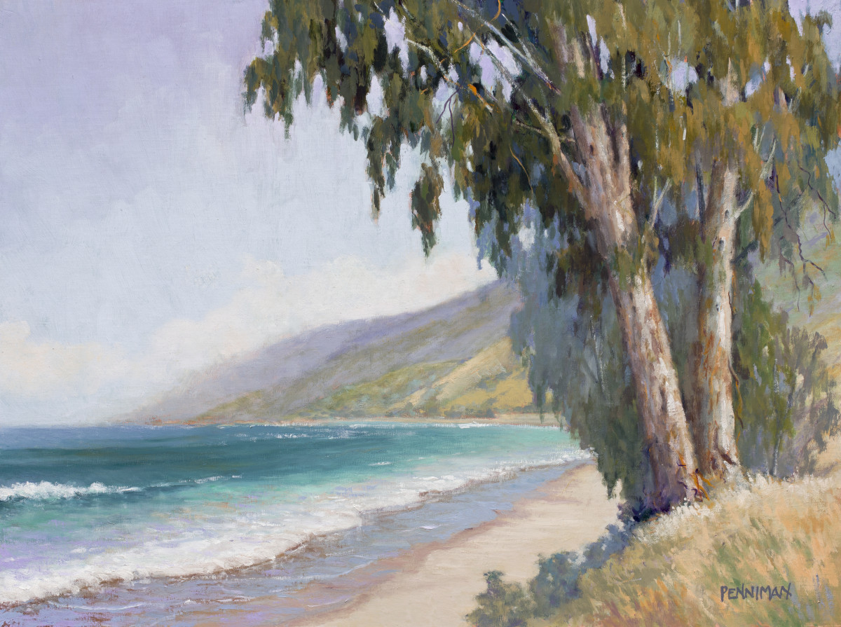 California Central Coast by Ed Penniman 