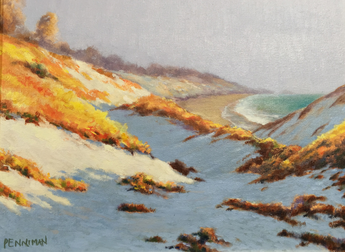 Sand City Dunes II by Ed Penniman 