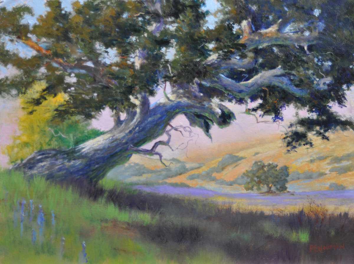Phil's Climbable Tree by Ed Penniman, Image 1.
