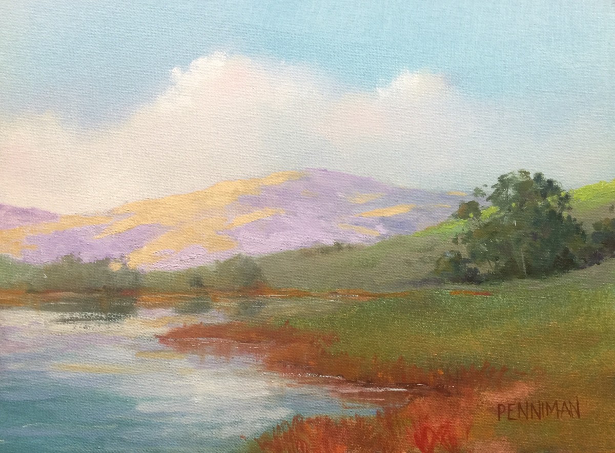 Harkins Slough Hills by Ed Penniman 