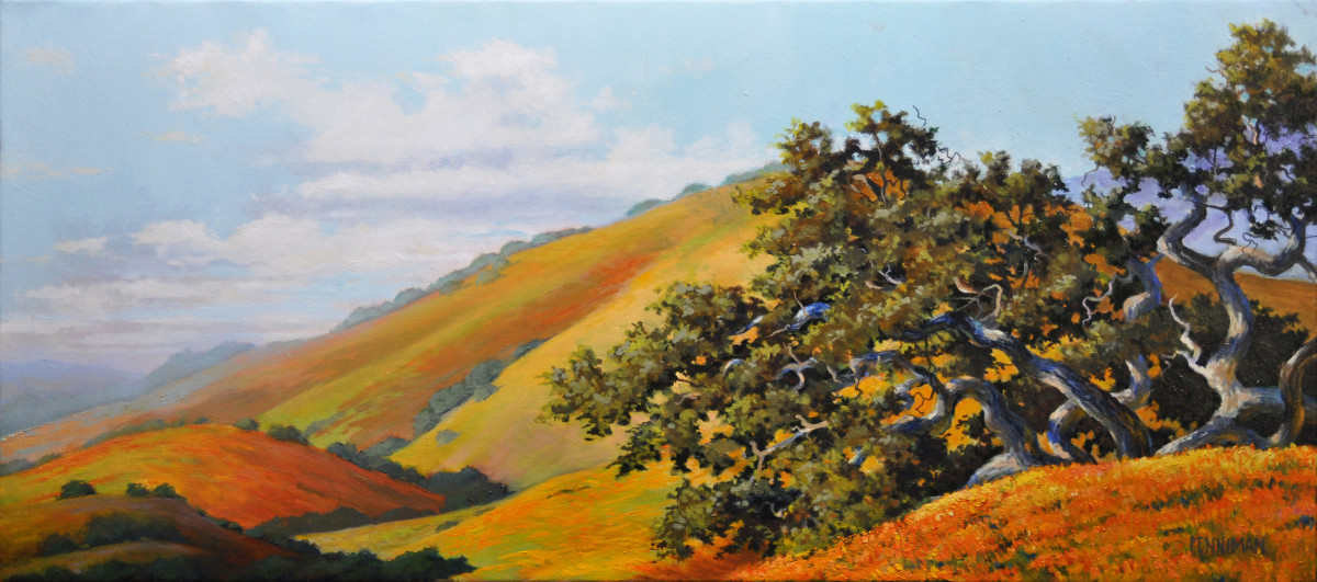 California Superbloom 2019 by Ed Penniman 