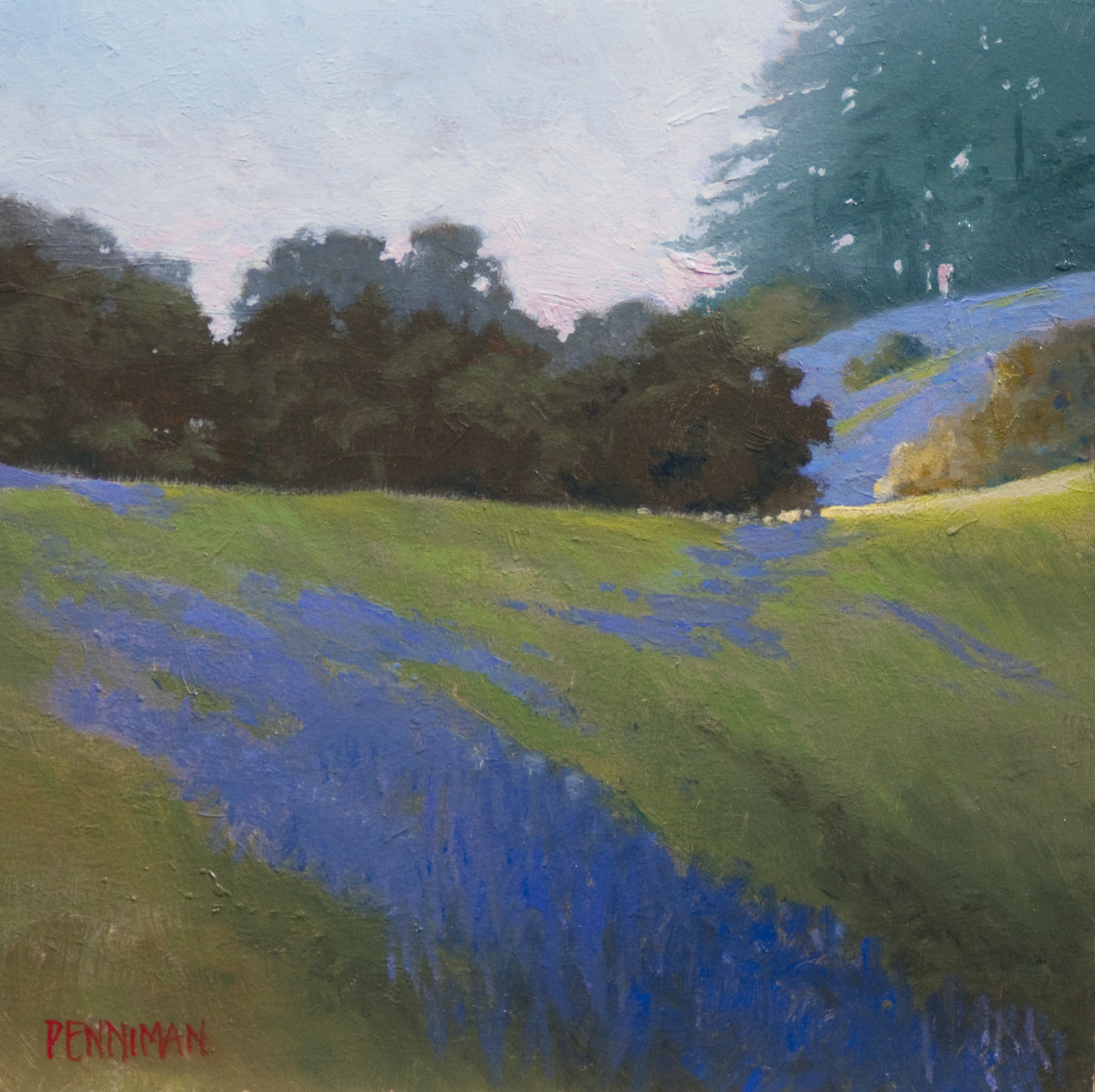 Lupine, White Road by Ed Penniman 