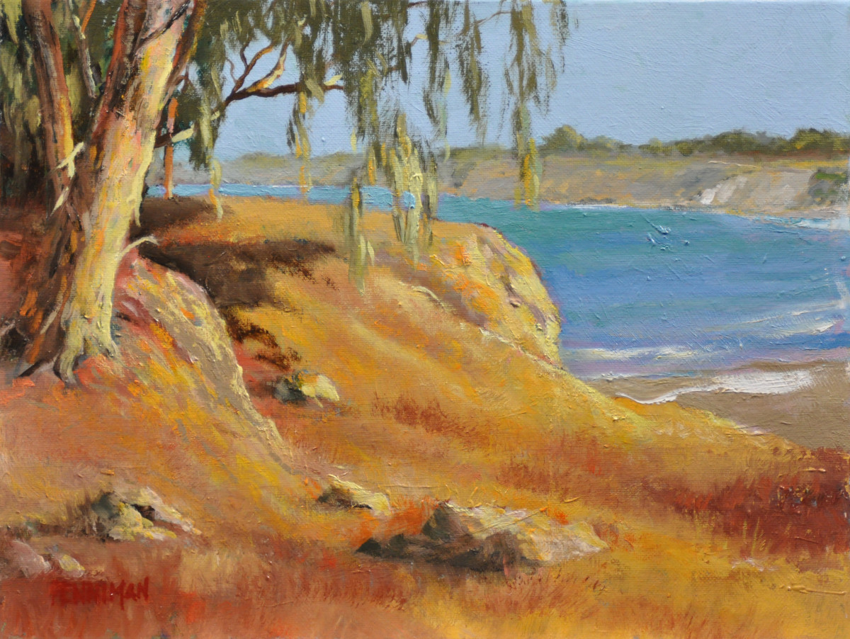Dry Cliffs, Santa Cruz by Ed Penniman, Image 1.
