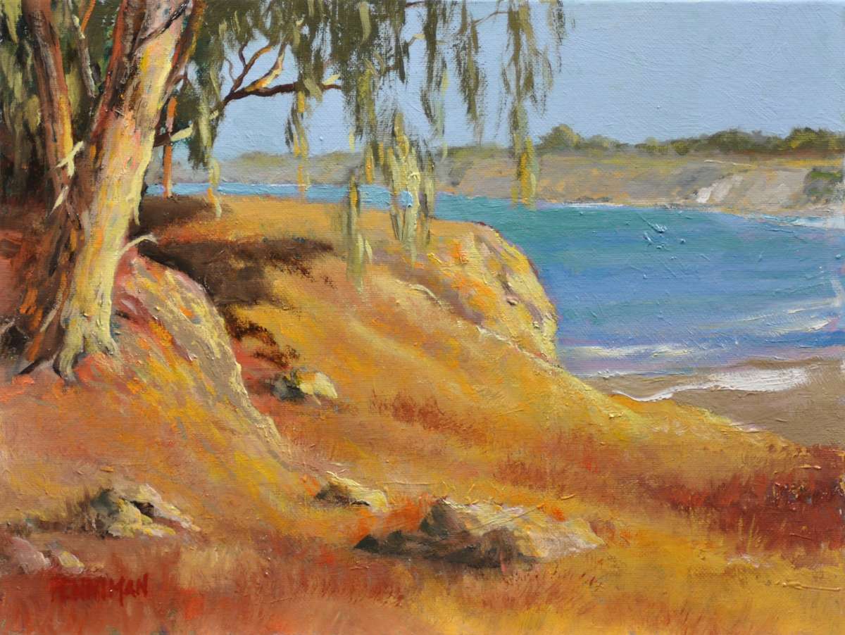 Dry Cliffs, Santa Cruz by Ed Penniman, Image 1.