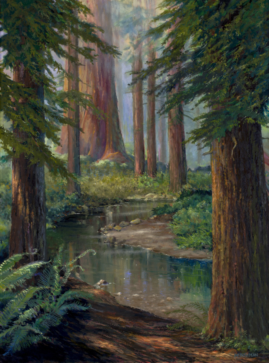 High in the Santa Cruz Mountains by Ed Penniman 