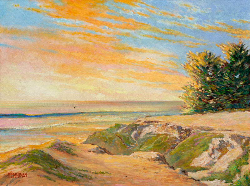 Dirt Patch, Pleasure Point II by Ed Penniman 