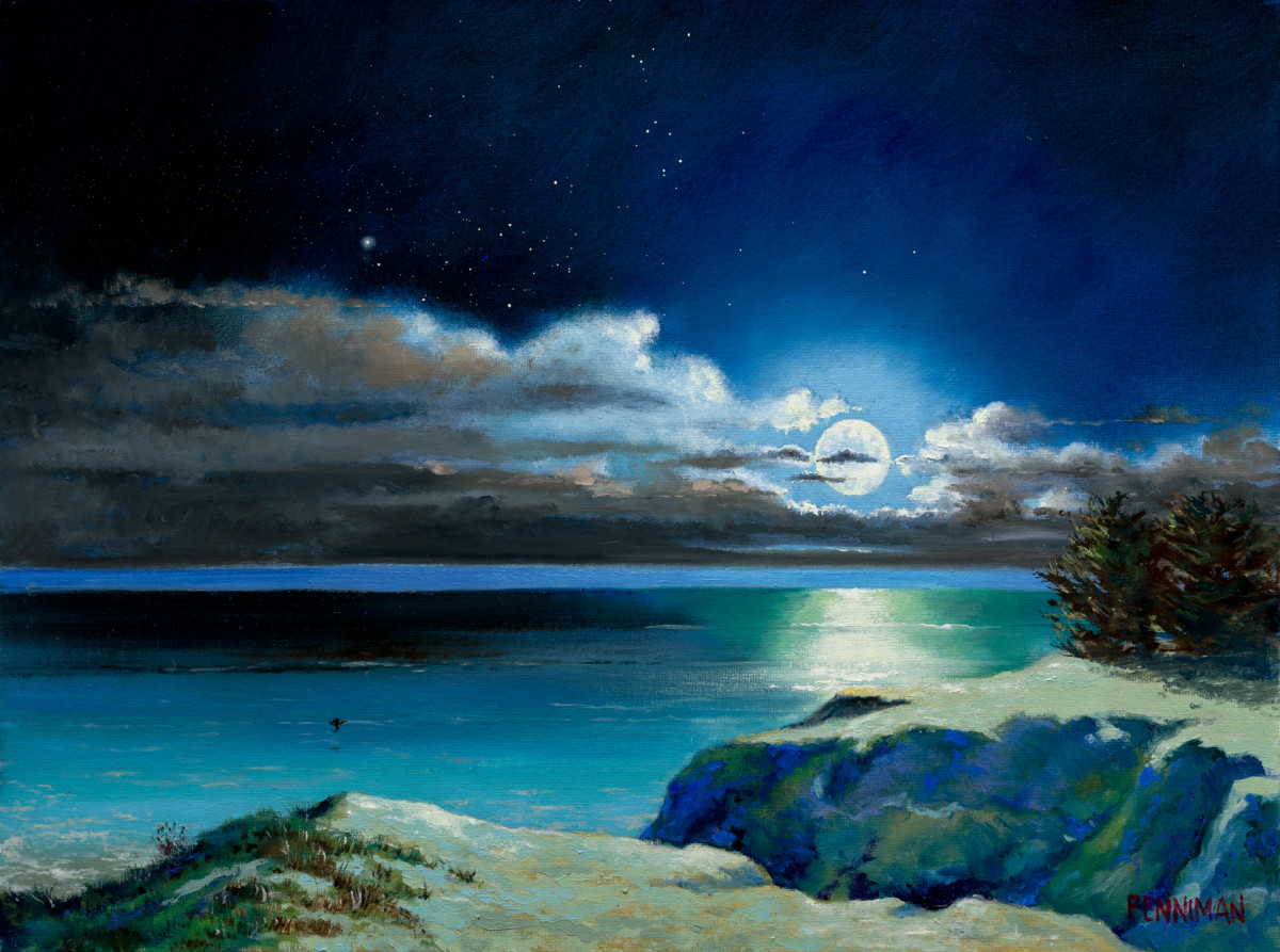 Venus Moon Study by Ed Penniman 