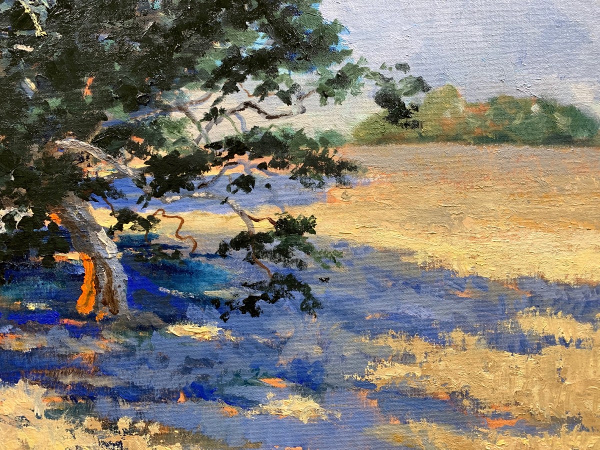 Simkin's Field Oak I by Ed Penniman 