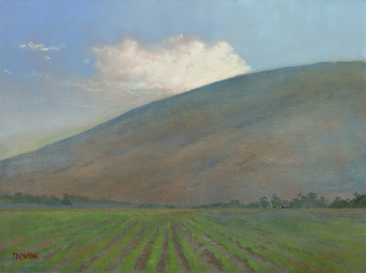 Dawn Harvest II by Ed Penniman 